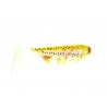 Hostagevalley Shad Golden Trout Henrys Tackle