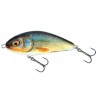 Salmo Fatso 10 Sinking Real Roach Henrys Tackle