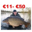 €11 to €50 Coarse