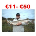 € 11 to €50 Pike