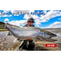 Sea Trout Lure Fishing